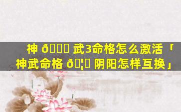 神 💐 武3命格怎么激活「神武命格 🦄 阴阳怎样互换」